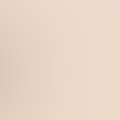 iPhone 11 Desert Titanium